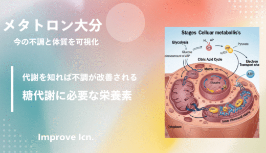 糖代謝